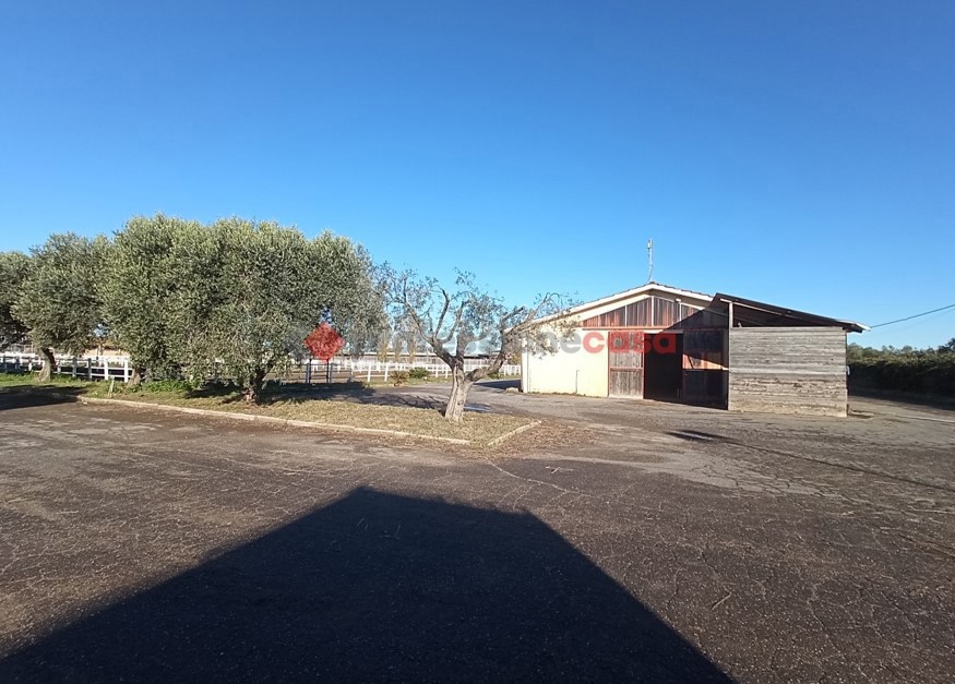 Rustico in vendita a Aprilia