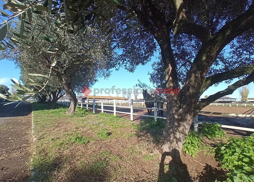 Rustico in vendita a Aprilia