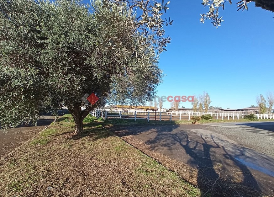 Rustico in vendita a Aprilia