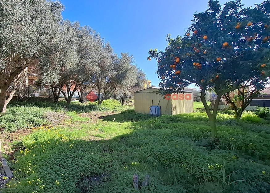 immagine annuncio 2 di 8