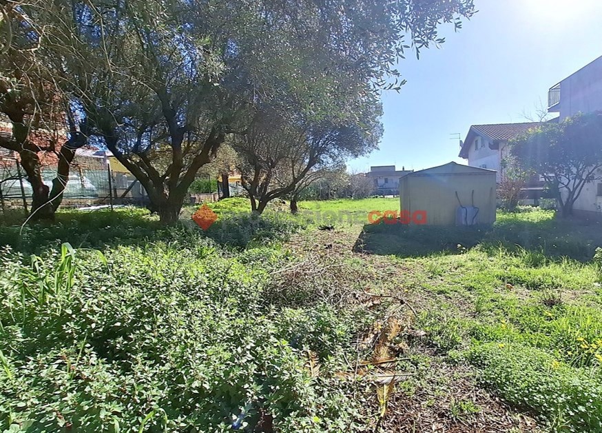 immagine annuncio 3 di 8