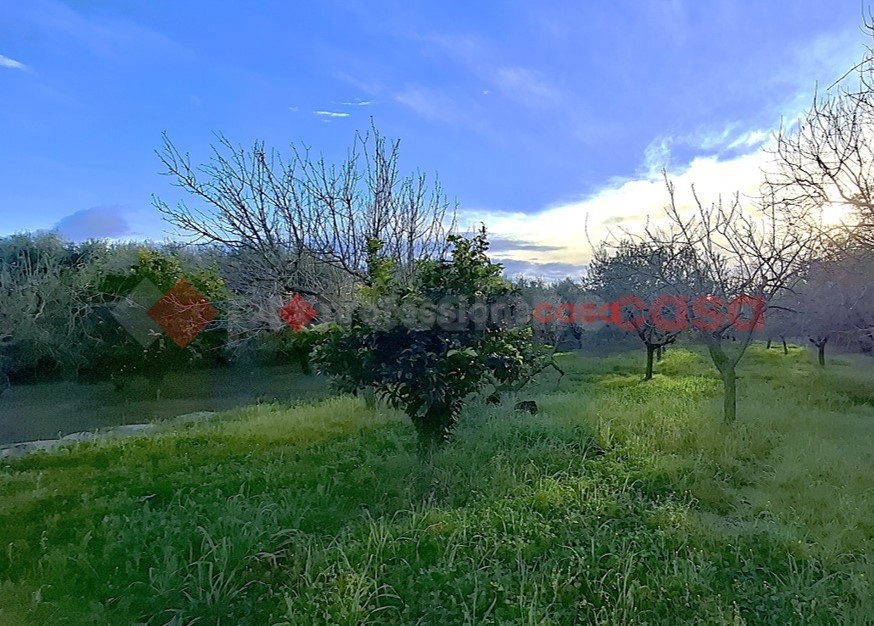 Villa da ristrutturare a Aprilia