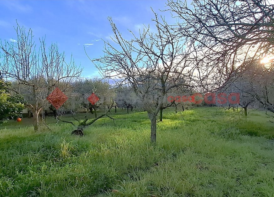 Villa da ristrutturare a Aprilia