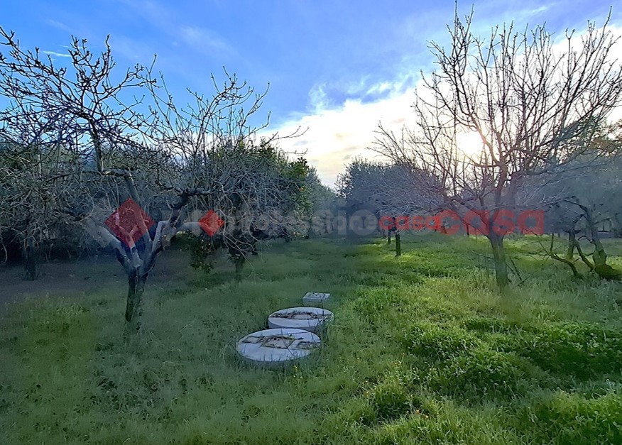 Villa da ristrutturare a Aprilia