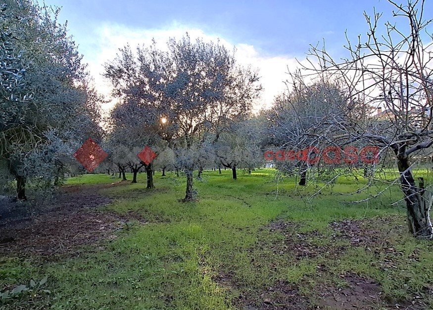 Villa da ristrutturare a Aprilia
