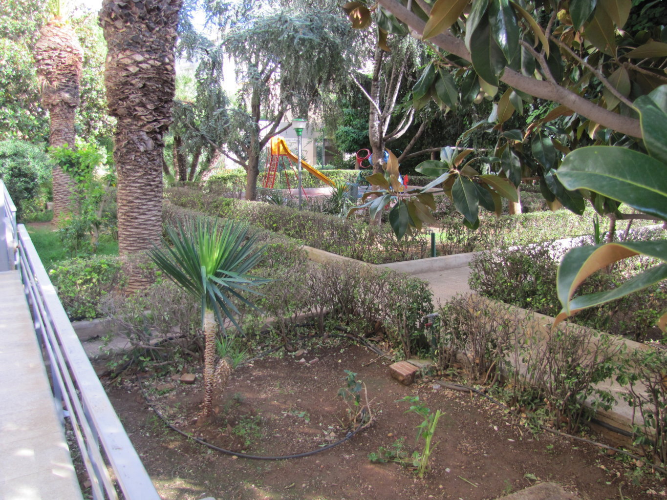 Appartamento in affitto a Palermo