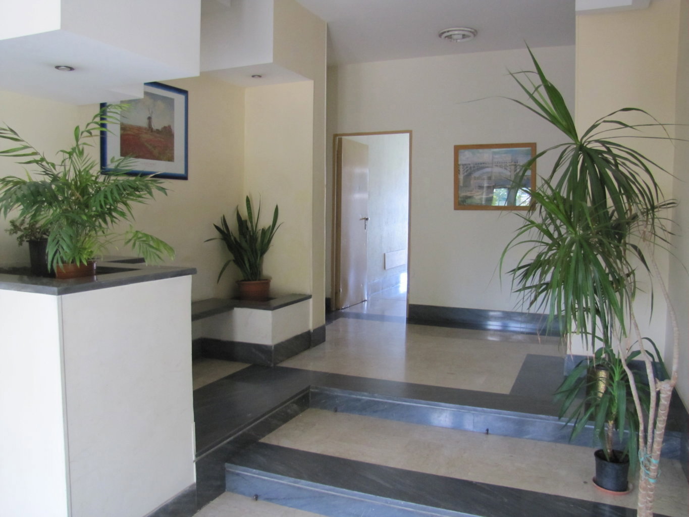 Appartamento in affitto a Palermo