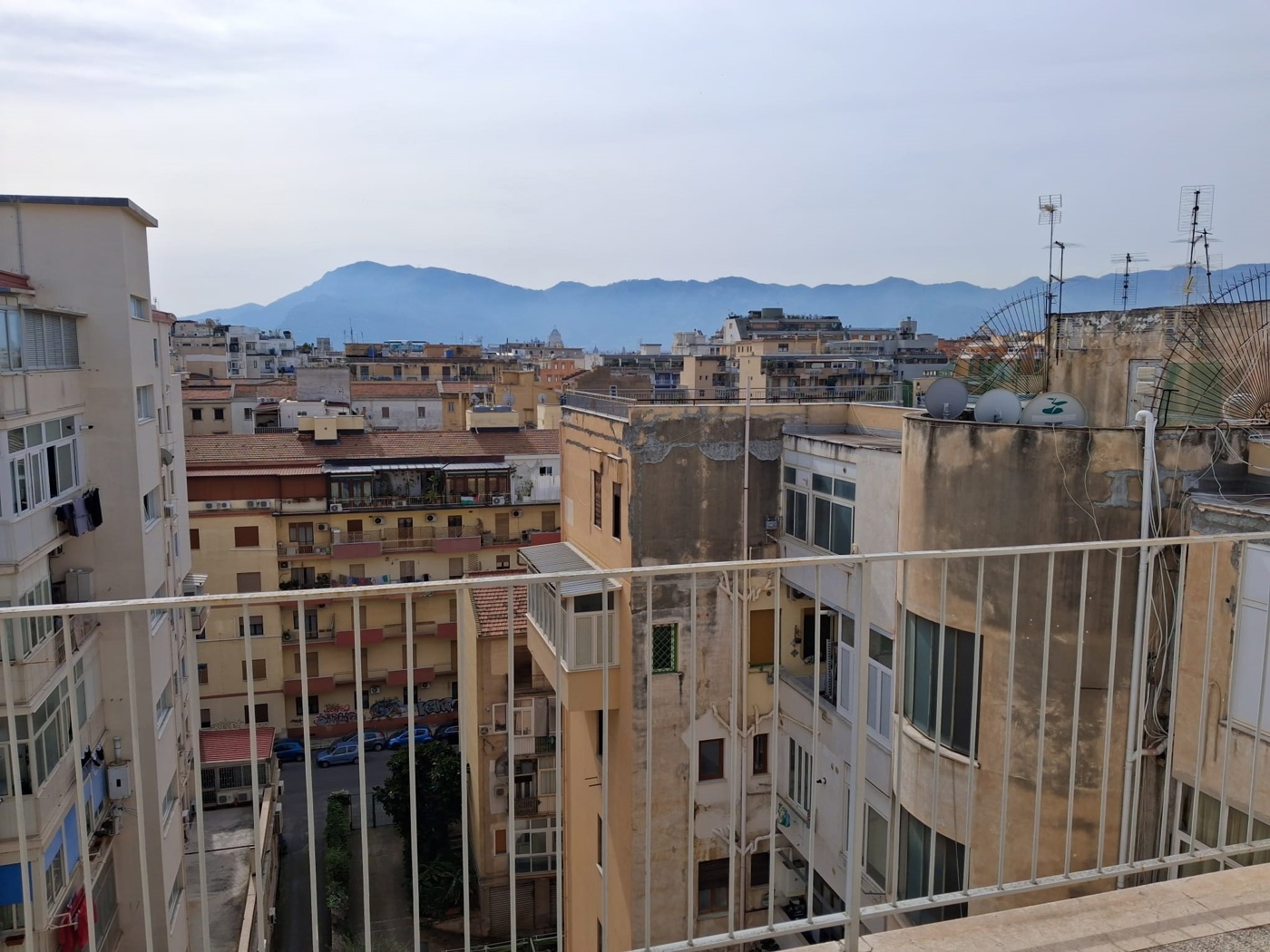 Trilocale in affitto a Palermo