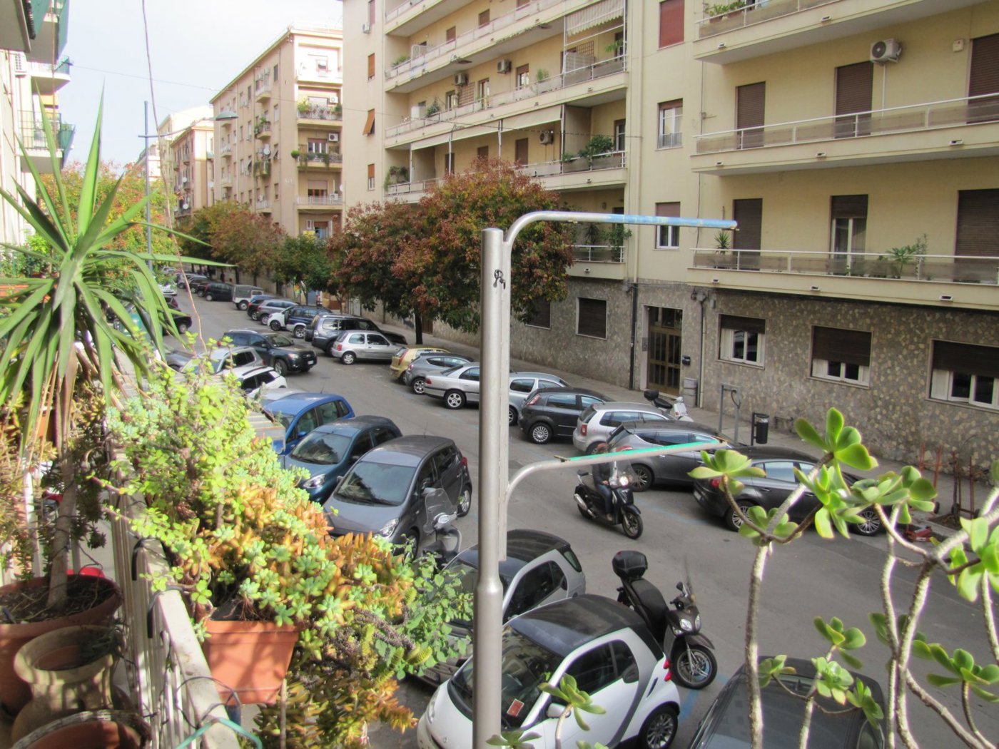Appartamento in affitto a Palermo