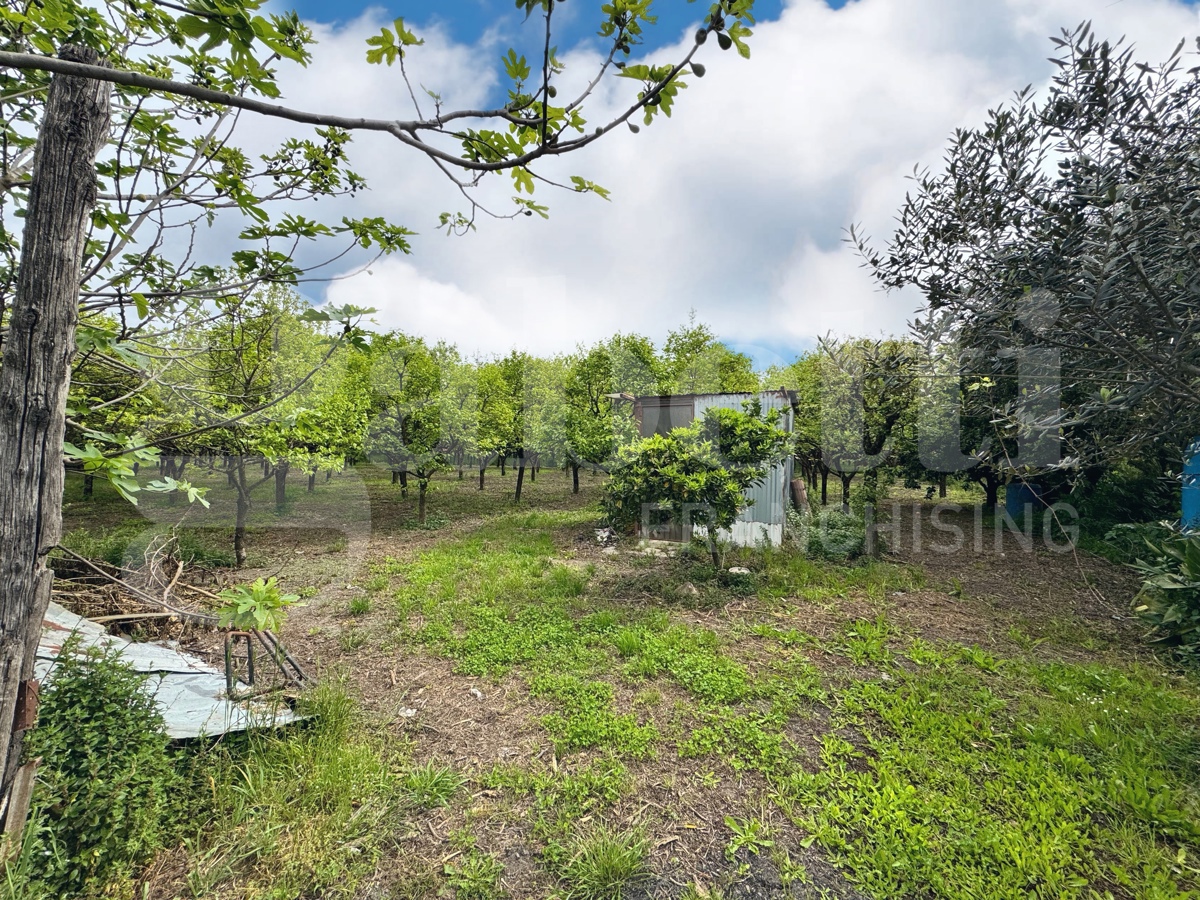 Terreno Agricolo in vendita a Angri