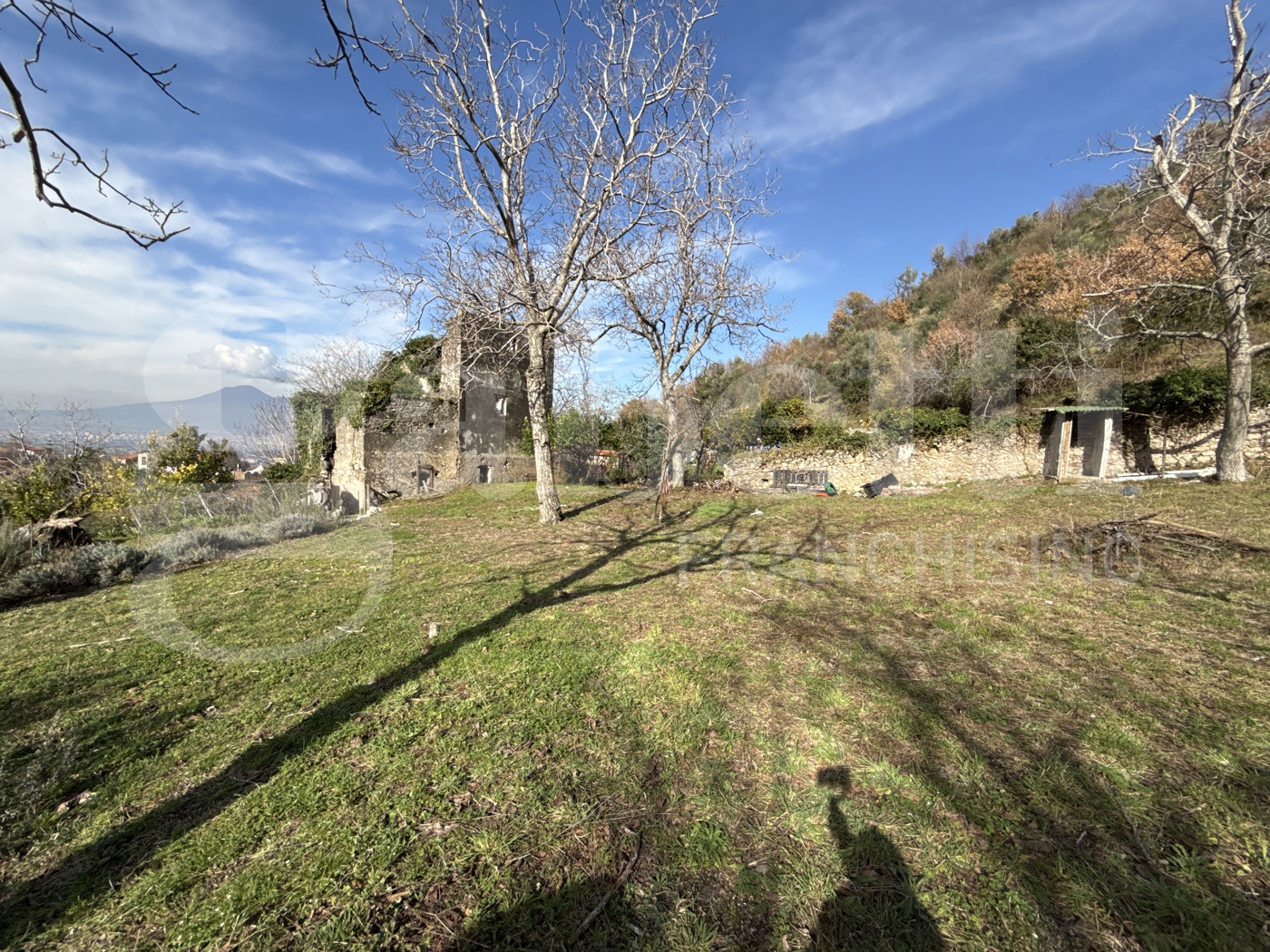 Terreno Agricolo in vendita a Corbara