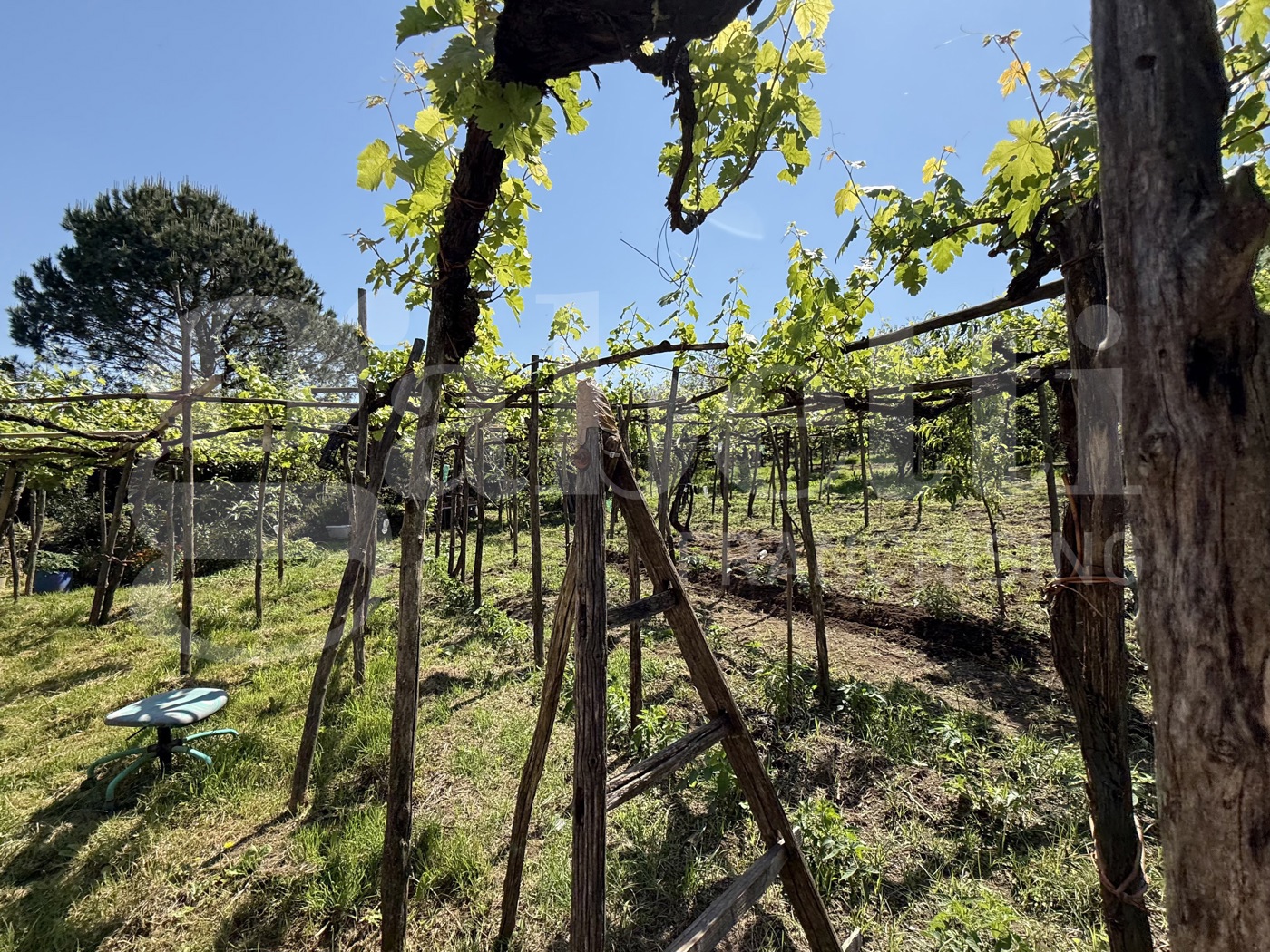 Casa indipendente in vendita a Angri