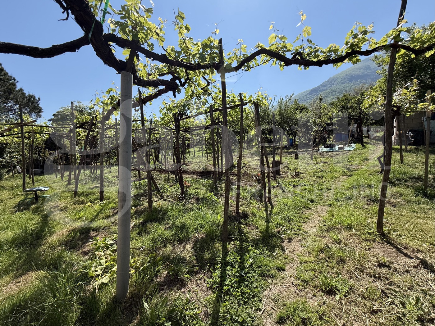 Casa indipendente in vendita a Angri