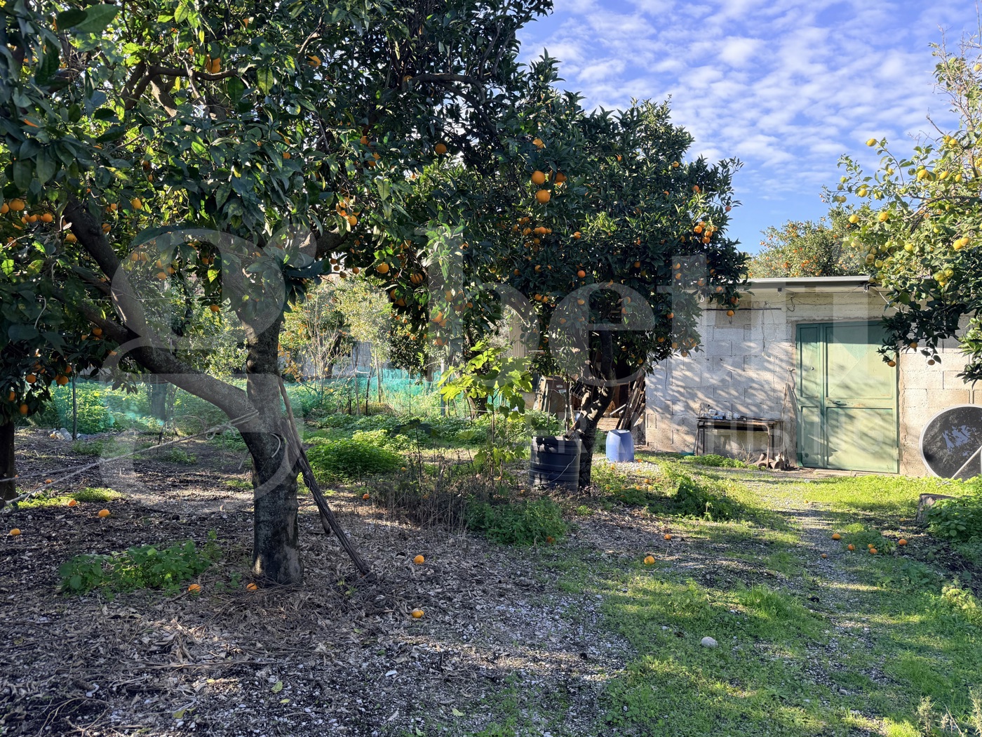 Terreno Agricolo in vendita a Sant'Egidio del Monte Albino
