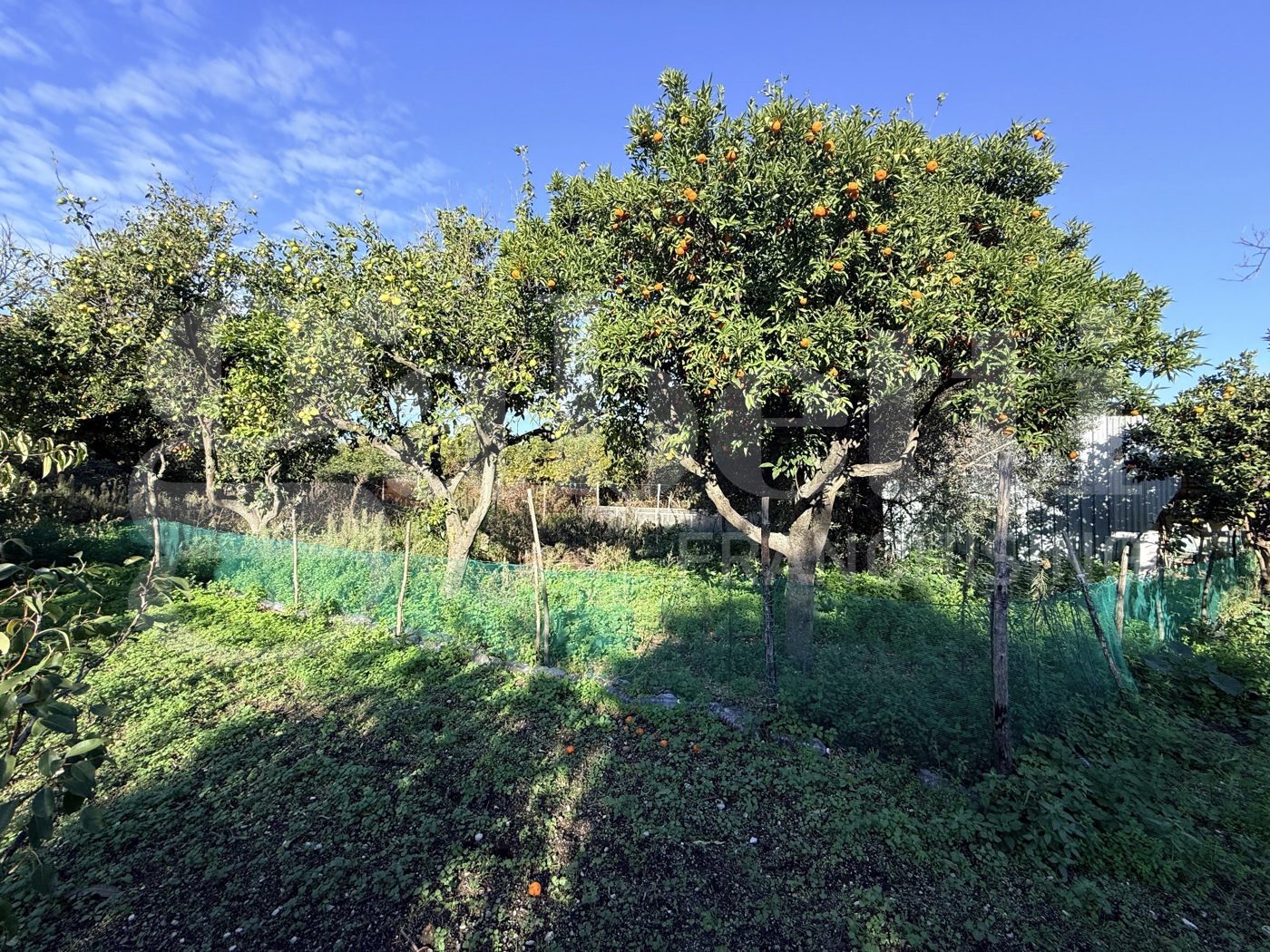 Terreno Agricolo in vendita a Sant'Egidio del Monte Albino