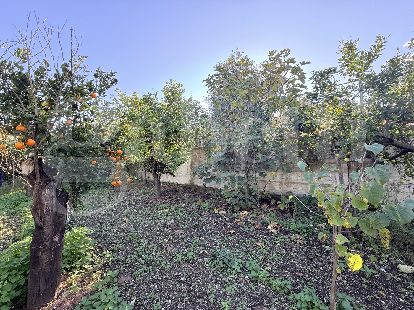Terreno Agricolo in vendita a Sant'Egidio del Monte Albino