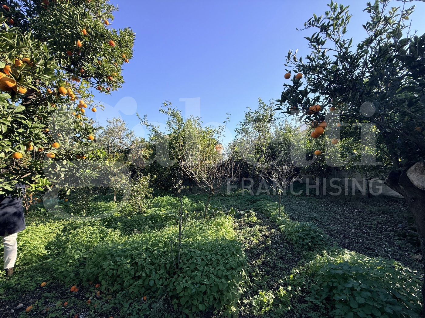 Terreno Agricolo in vendita a Sant'Egidio del Monte Albino