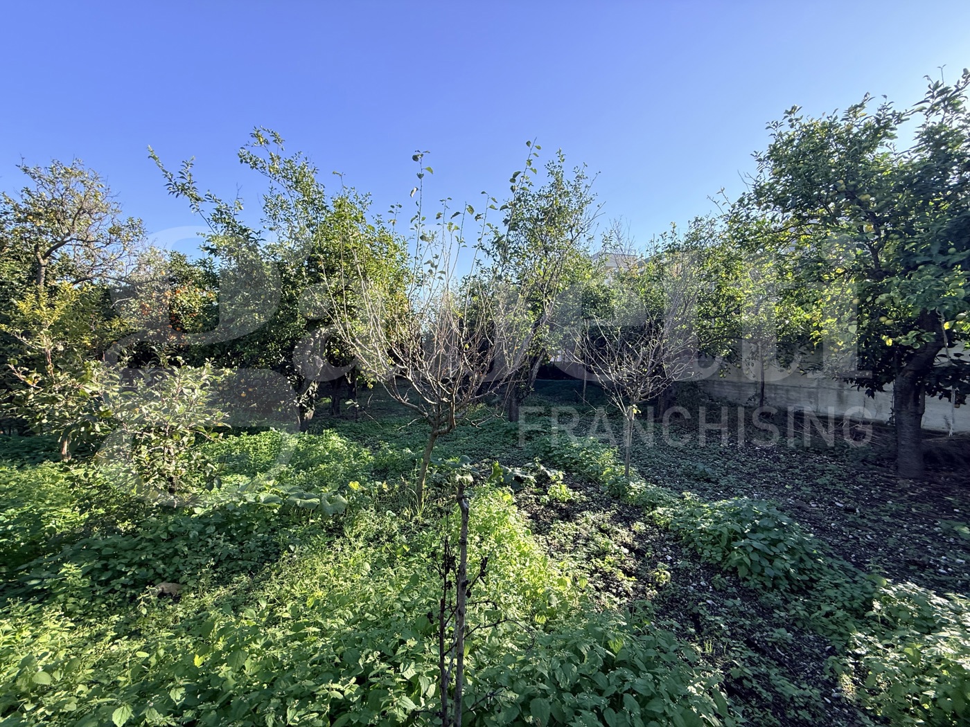 Terreno Agricolo in vendita a Sant'Egidio del Monte Albino