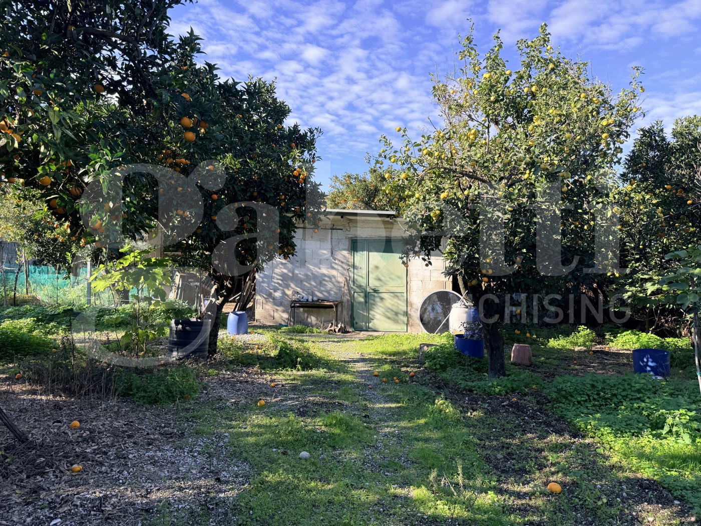 Terreno Agricolo in vendita a Sant'Egidio del Monte Albino