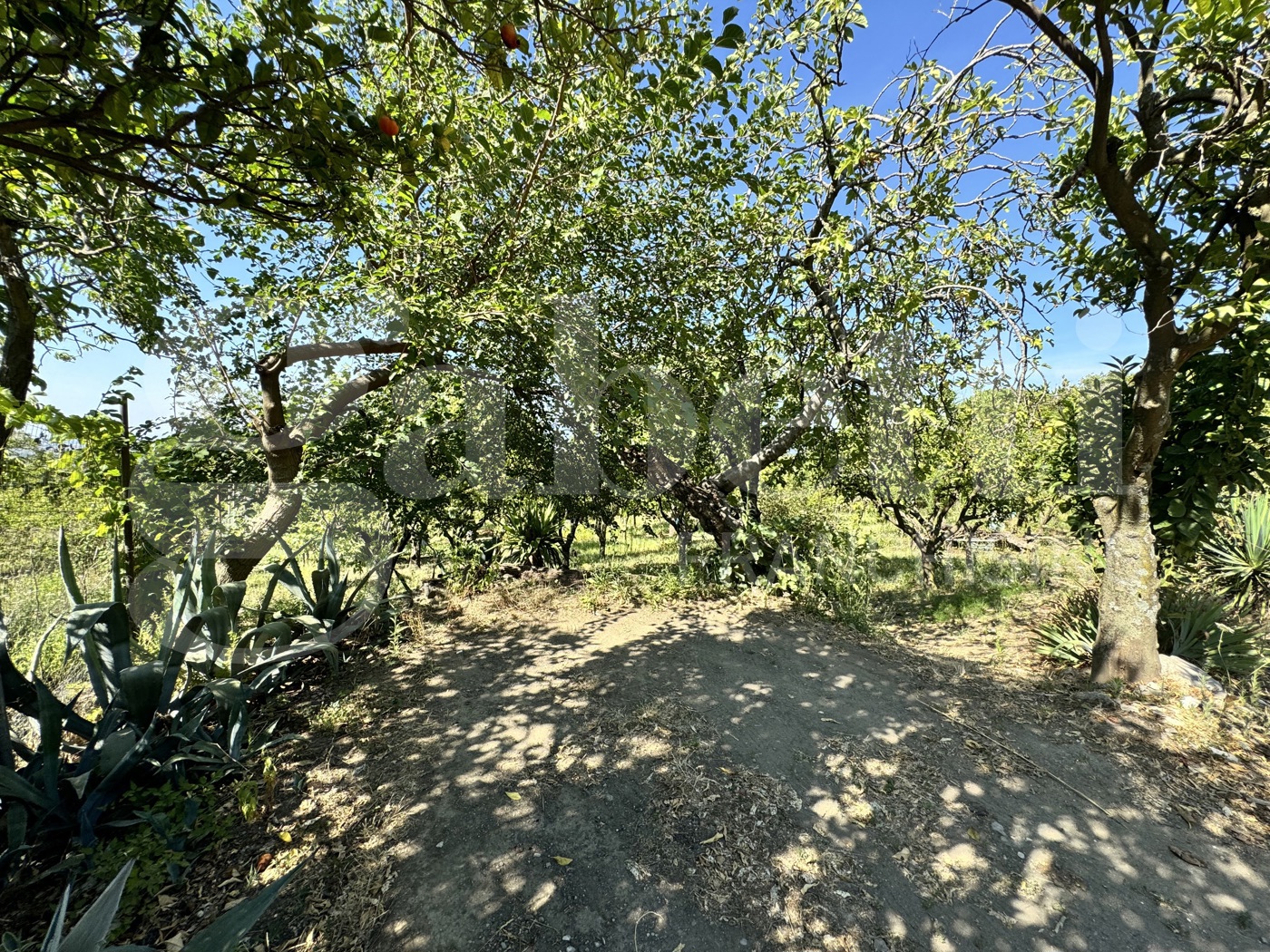 Terreno Agricolo in vendita a Angri