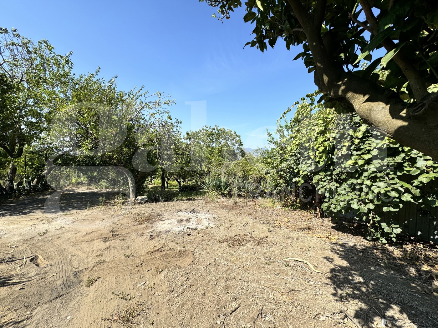 Terreno Agricolo in vendita a Angri