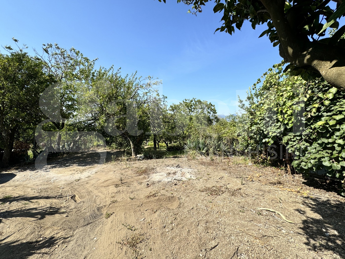 Terreno Agricolo in vendita a Angri