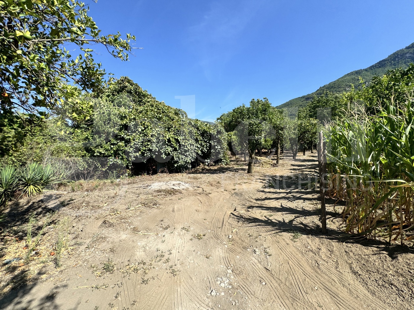 Terreno Agricolo in vendita a Angri
