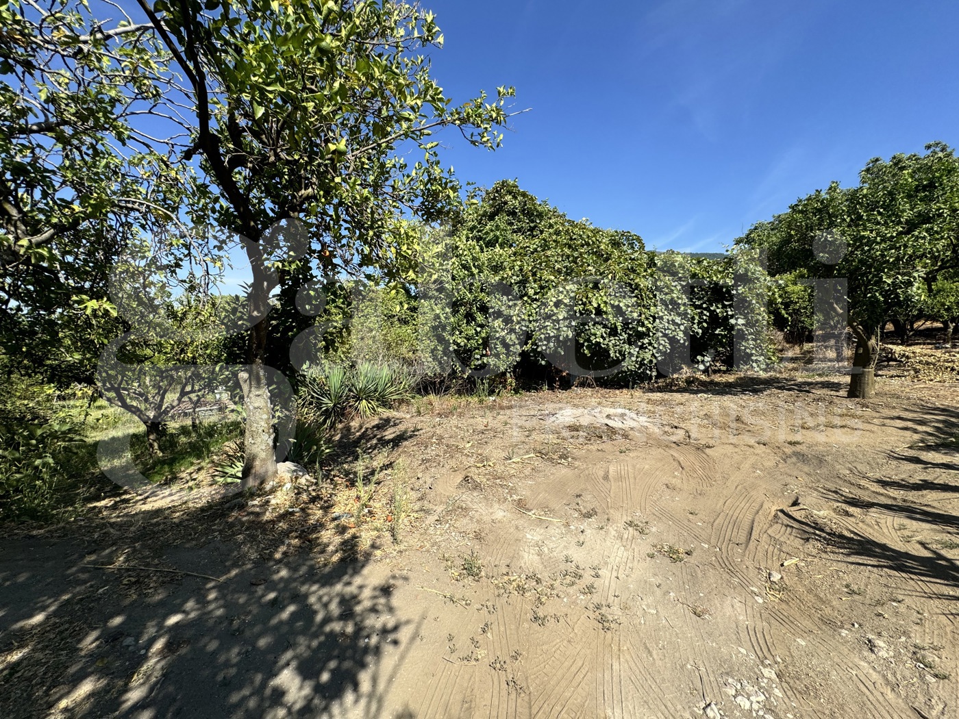 Terreno Agricolo in vendita a Angri