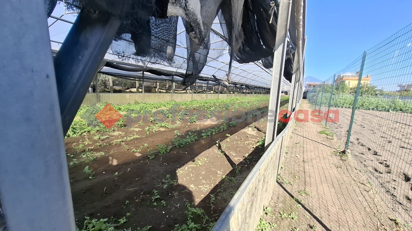 Terreno Agricolo in vendita a Pompei