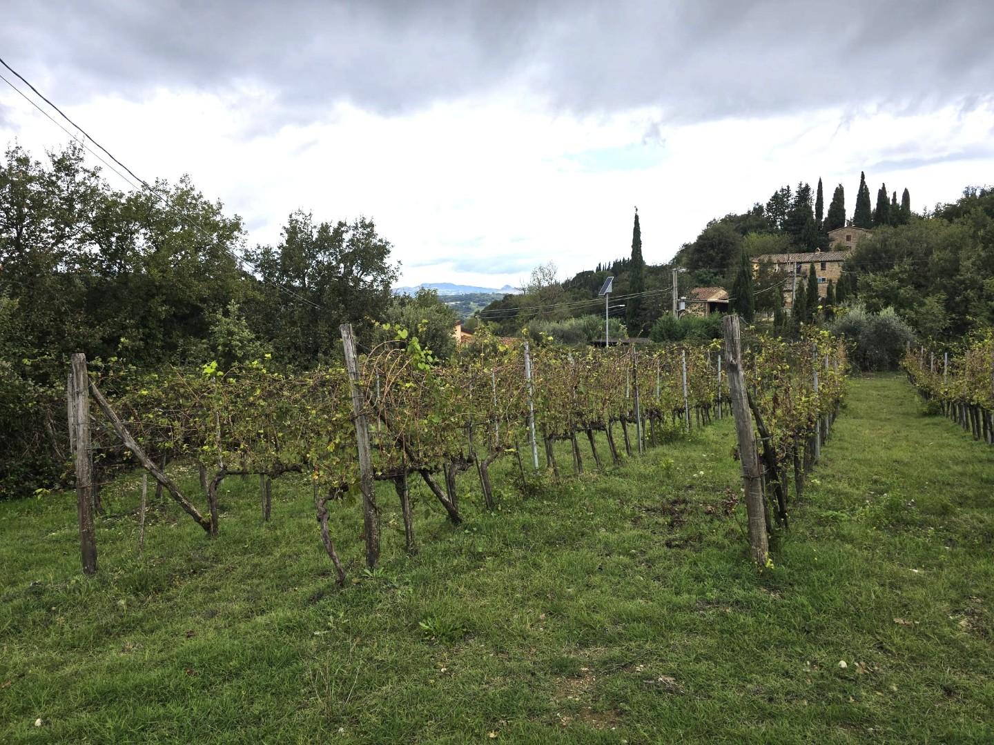Casa indipendente con giardino a Casole d'Elsa