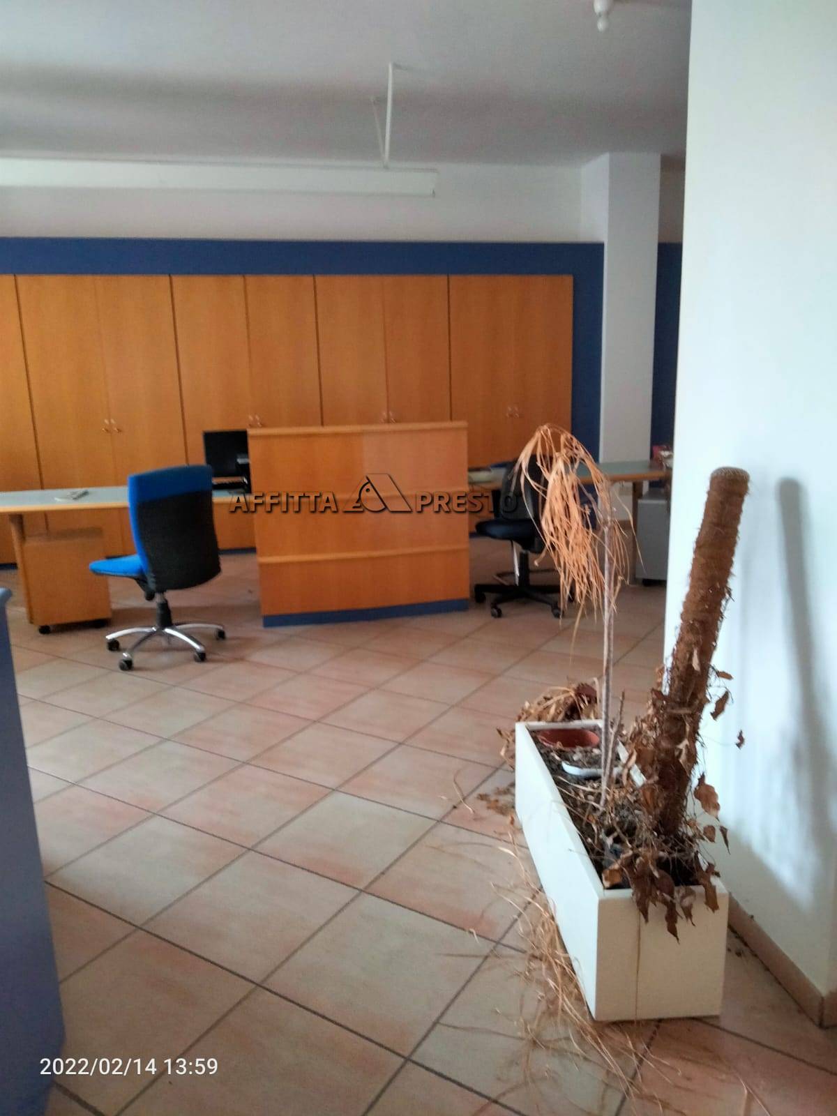 Ufficio in affitto a Cesena, Stazione