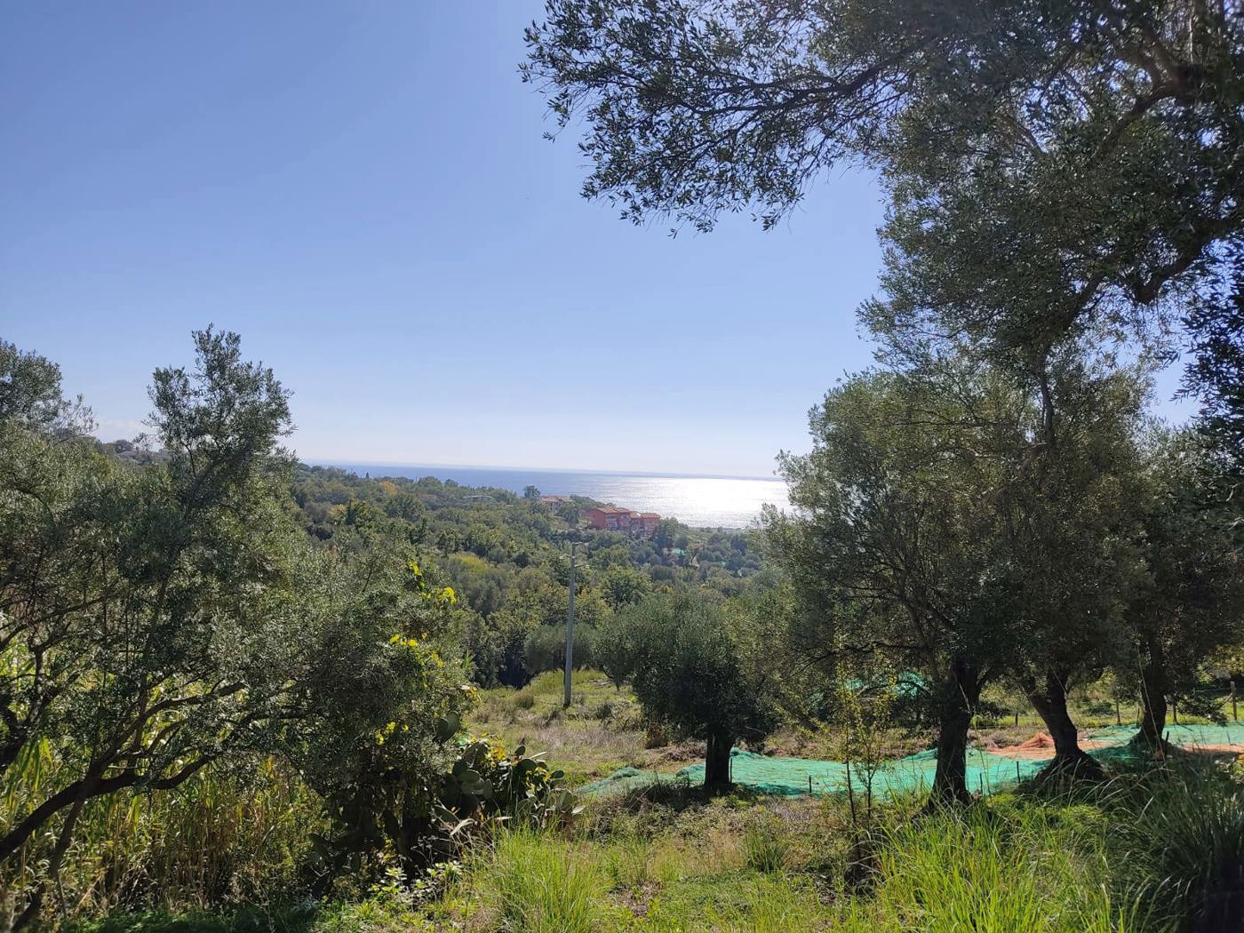 Terreno Agricolo in vendita a Santa Marina