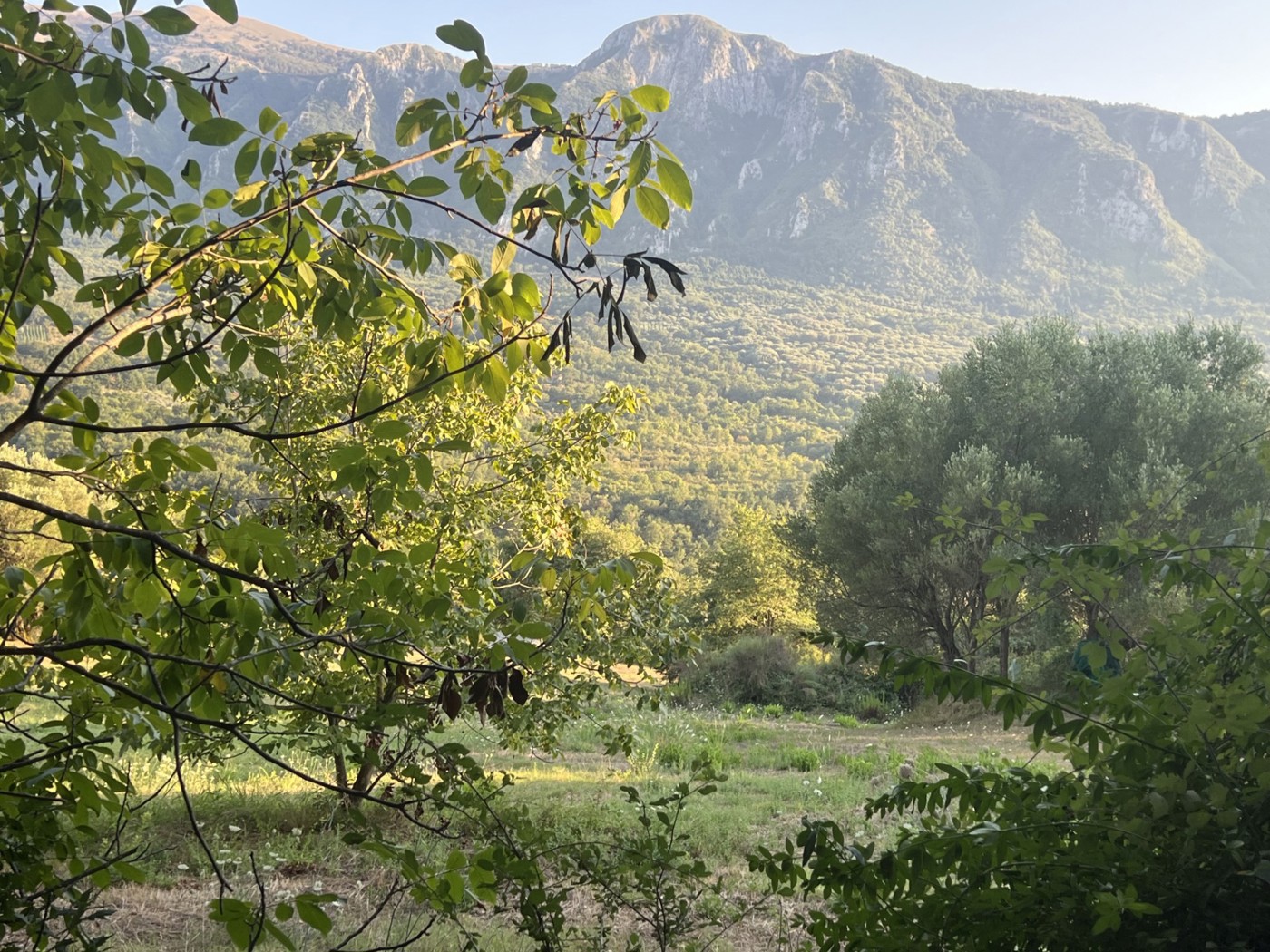 Terreno Agricolo in vendita a Roccagloriosa