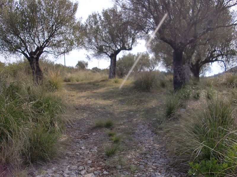 Terreno Edificabile in vendita a San Giovanni a Piro