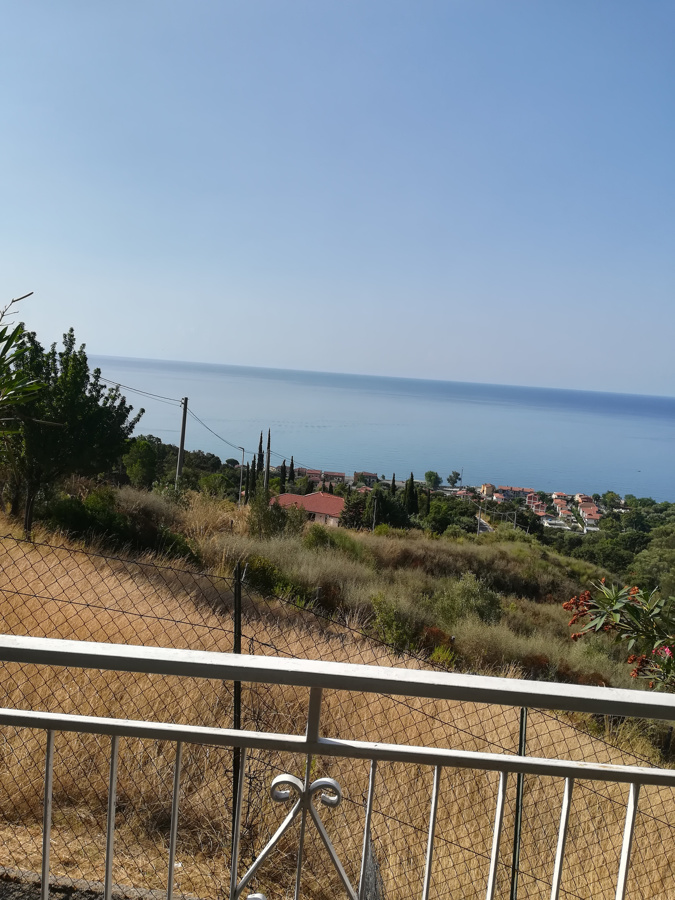 immagine annuncio 6 di 8