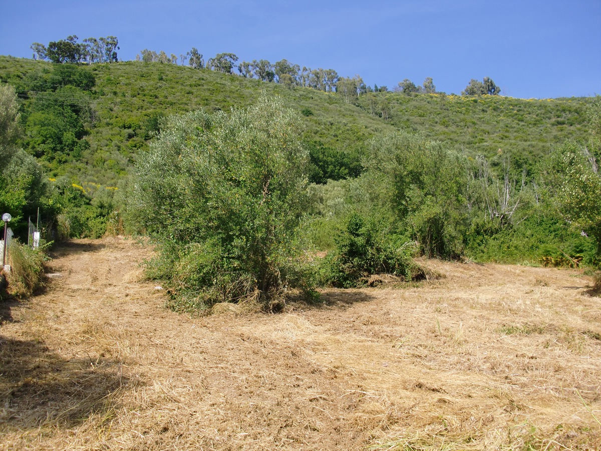 Terreno Edificabile in vendita a Torre Orsaia