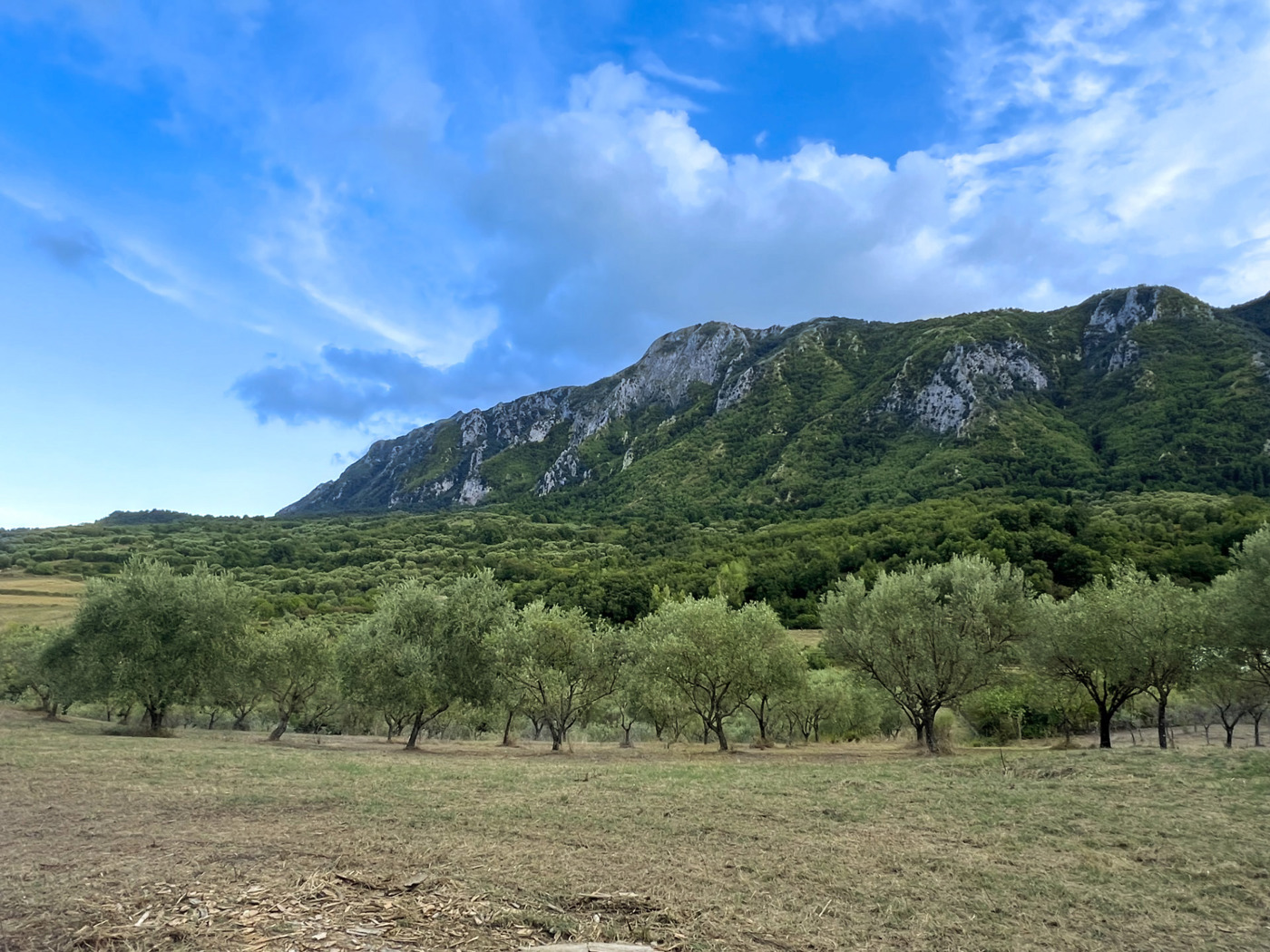 Terreno Agricolo in vendita a Celle di Bulgheria