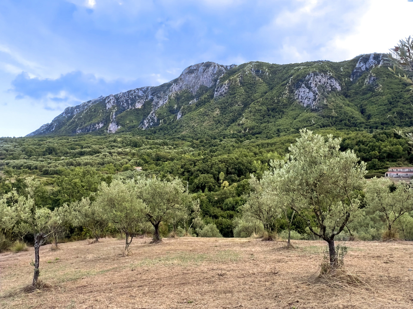 Terreno Agricolo in vendita a Celle di Bulgheria