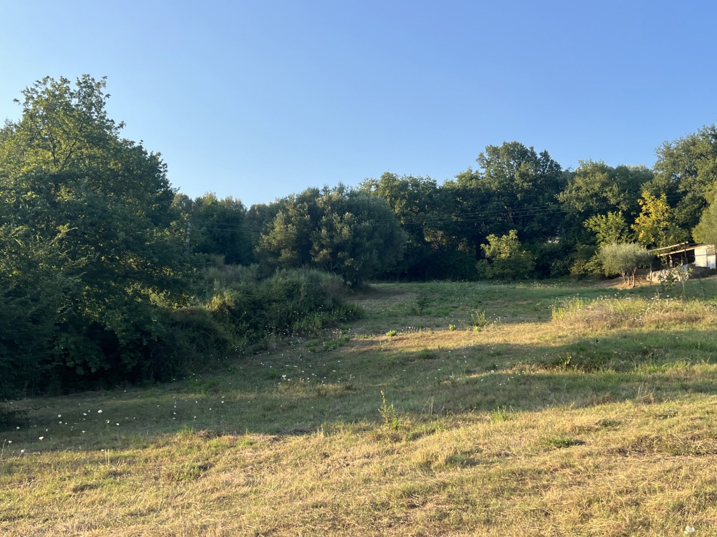 Terreno Agricolo in vendita a Roccagloriosa