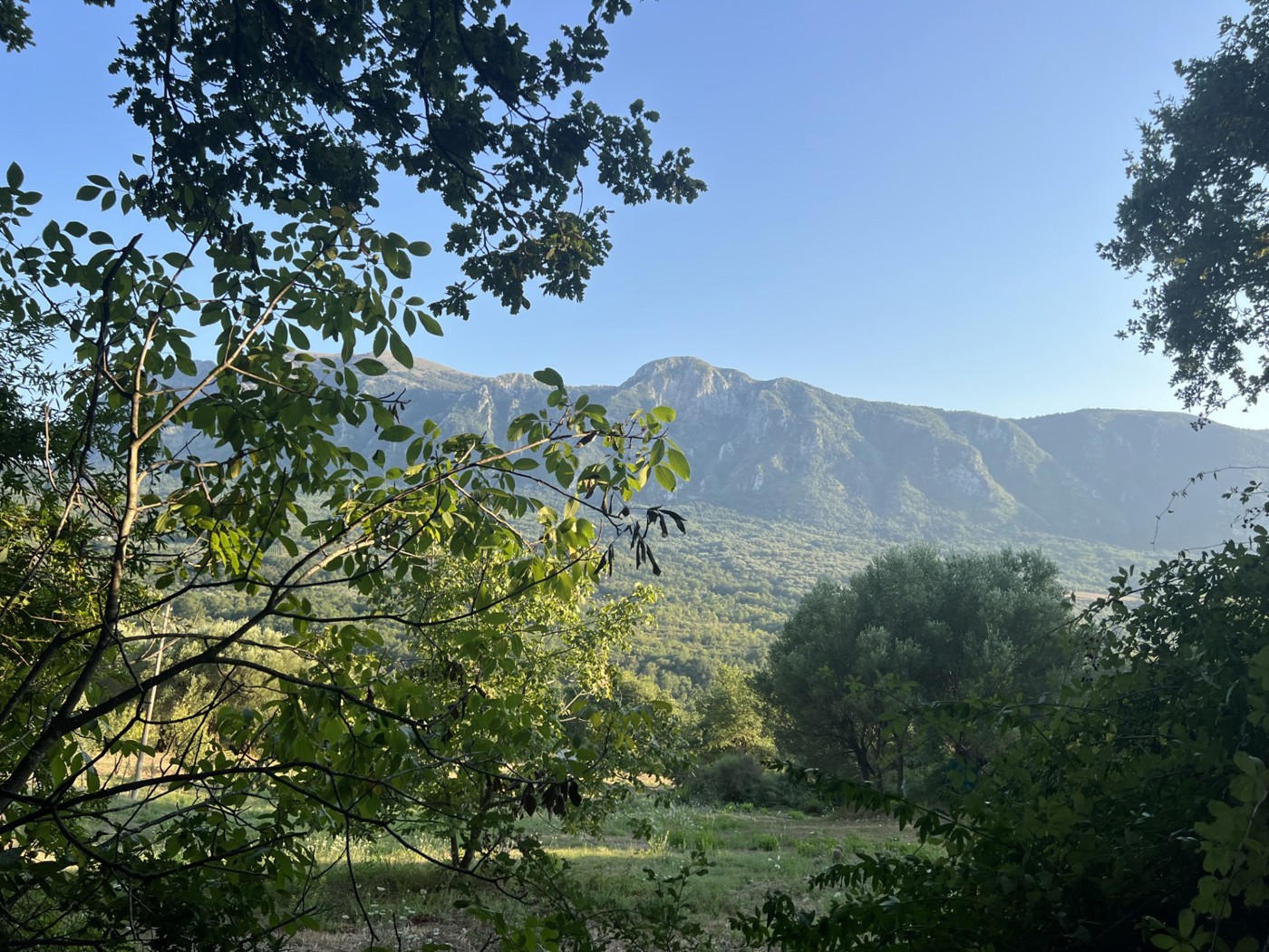 Terreno Agricolo in vendita a Roccagloriosa