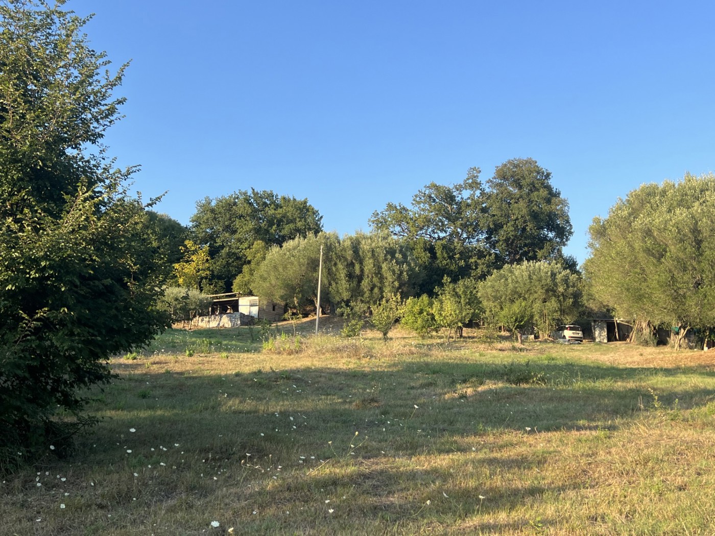 Terreno Agricolo in vendita a Roccagloriosa