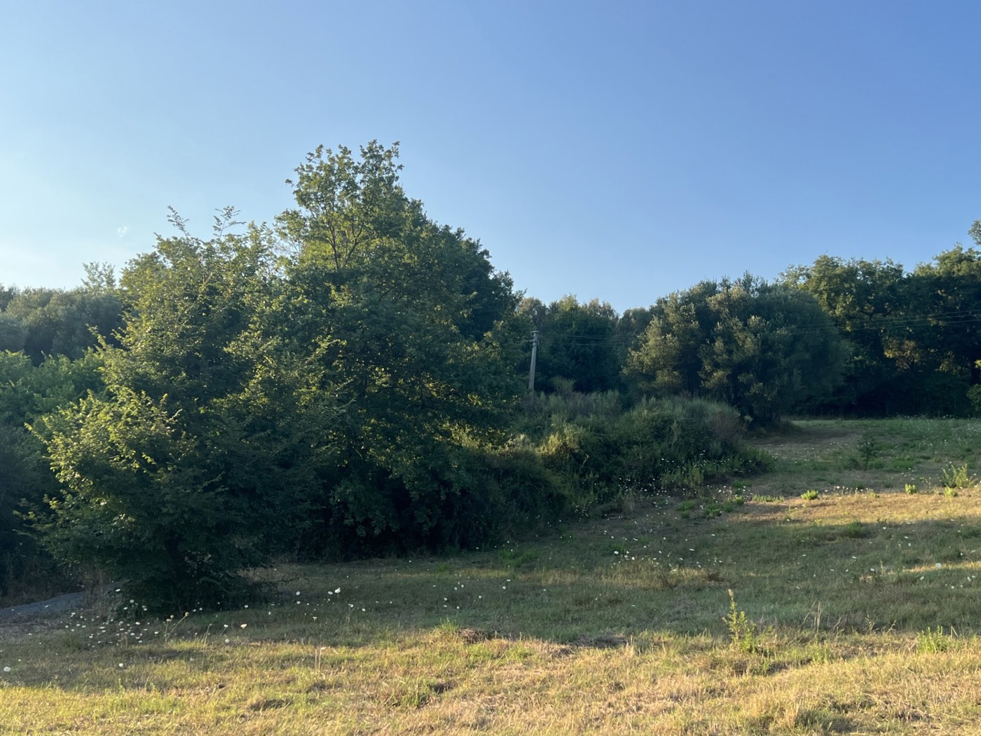 Terreno Agricolo in vendita a Roccagloriosa