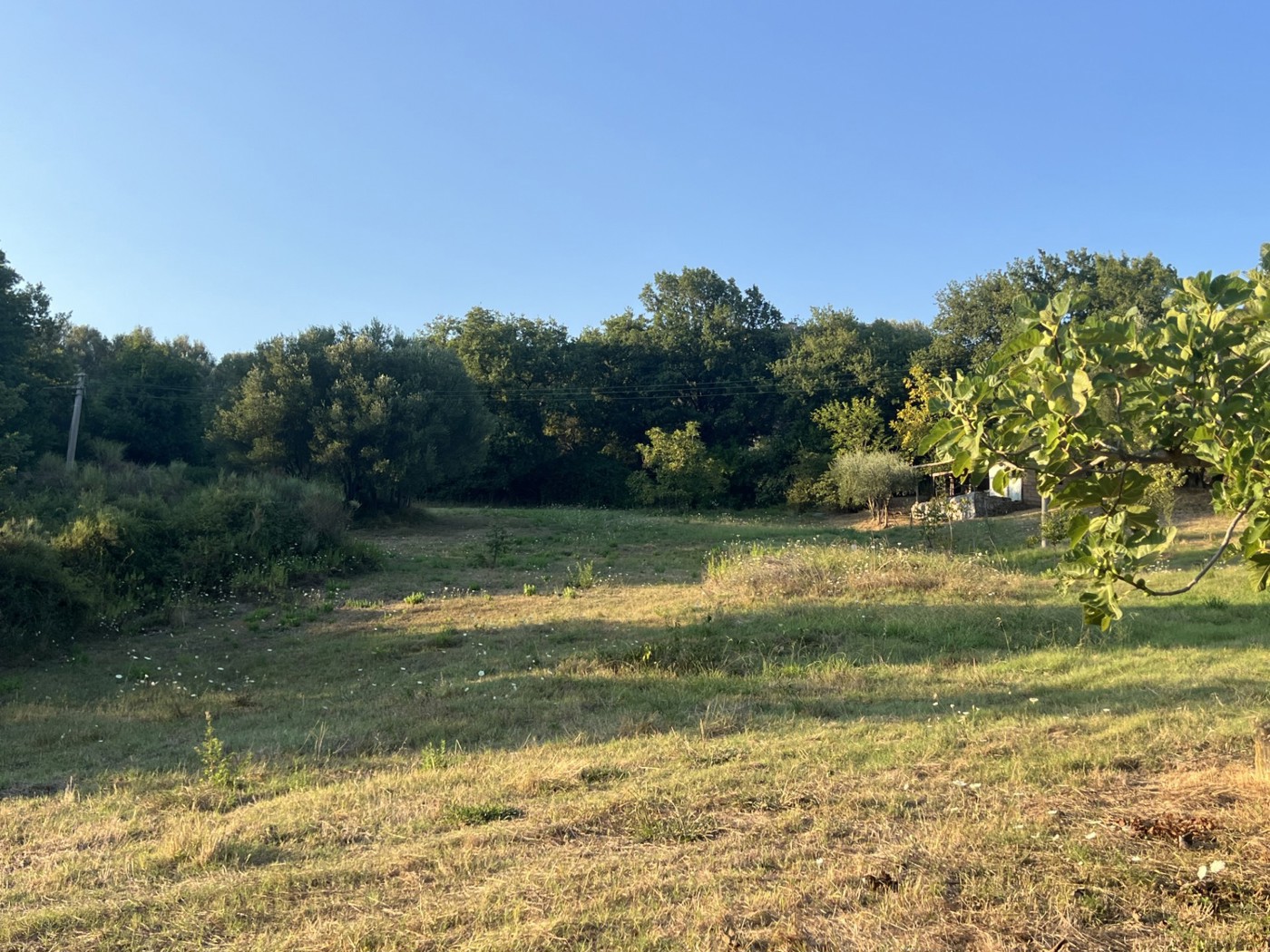 Terreno Agricolo in vendita a Roccagloriosa