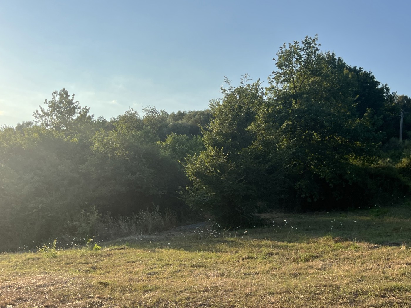 Terreno Agricolo in vendita a Roccagloriosa