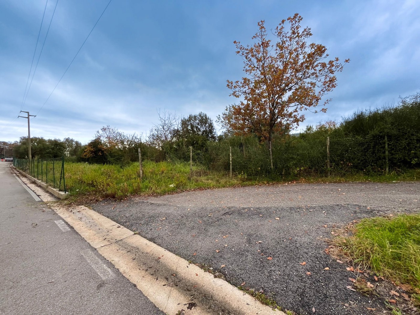 Terreno Agricolo in vendita a San Giovanni a Piro