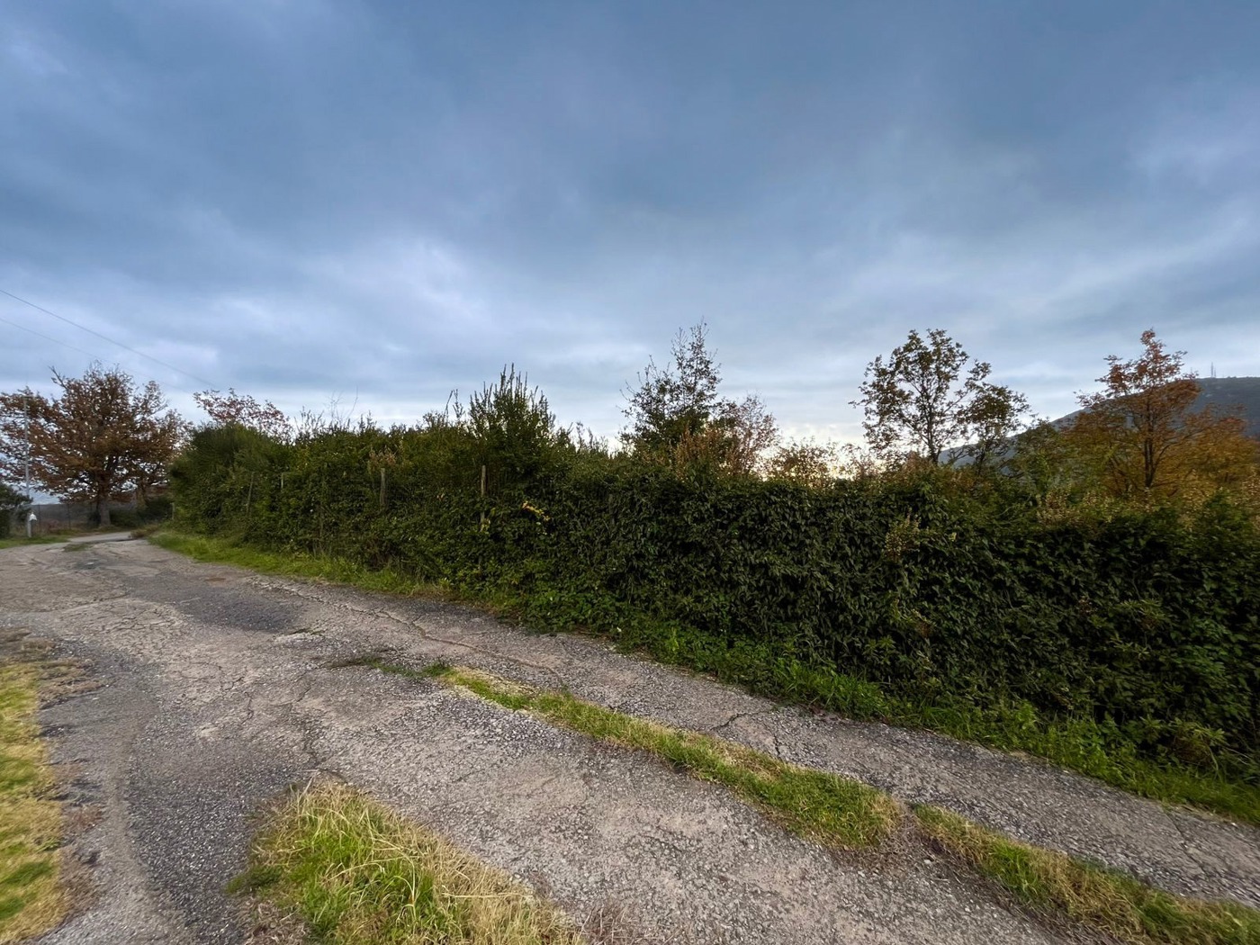 Terreno Agricolo in vendita a San Giovanni a Piro