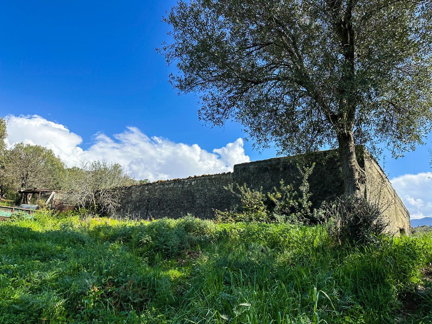 Stabile/Palazzo vista mare a Vibonati