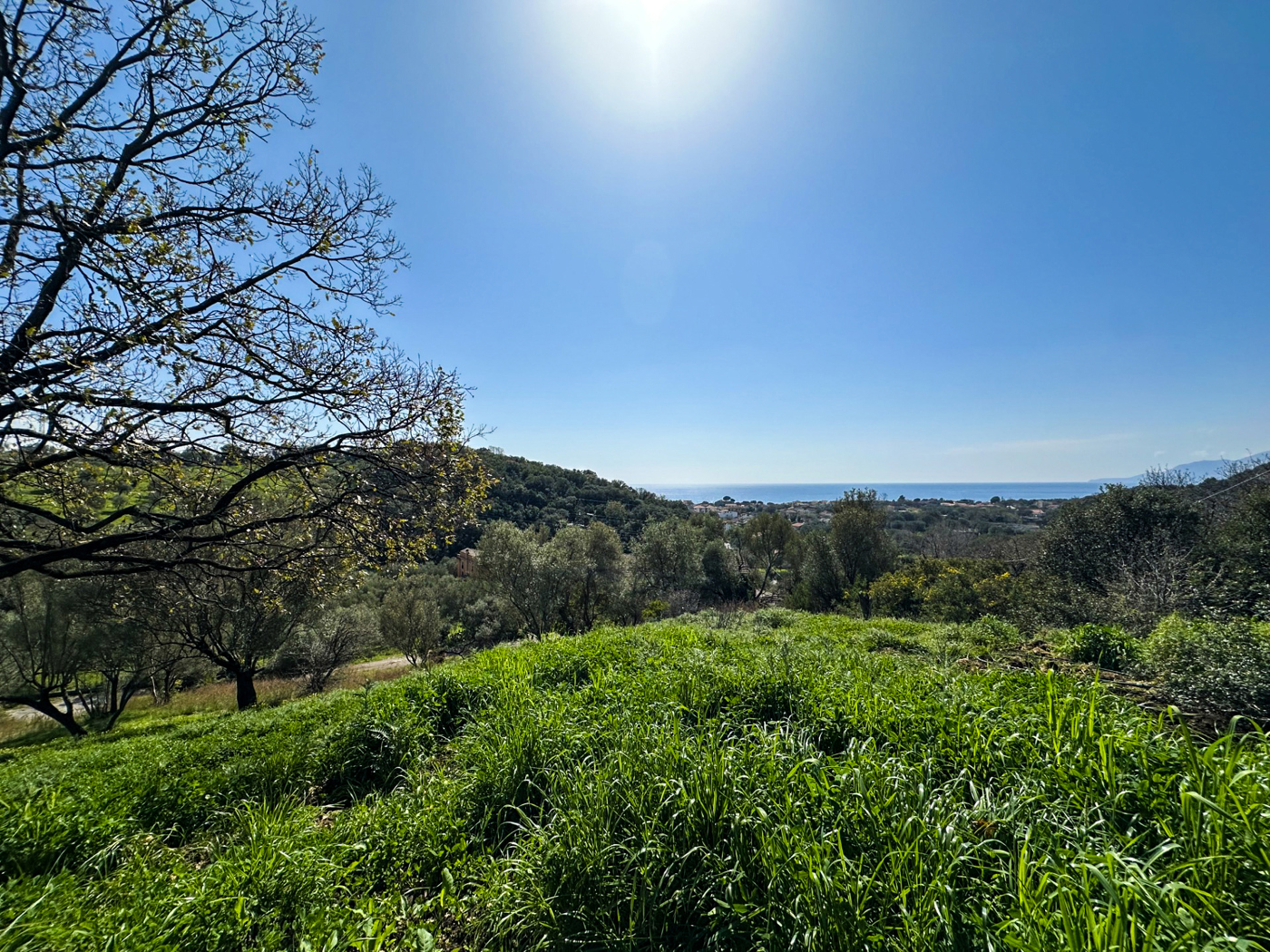Stabile/Palazzo vista mare a Vibonati