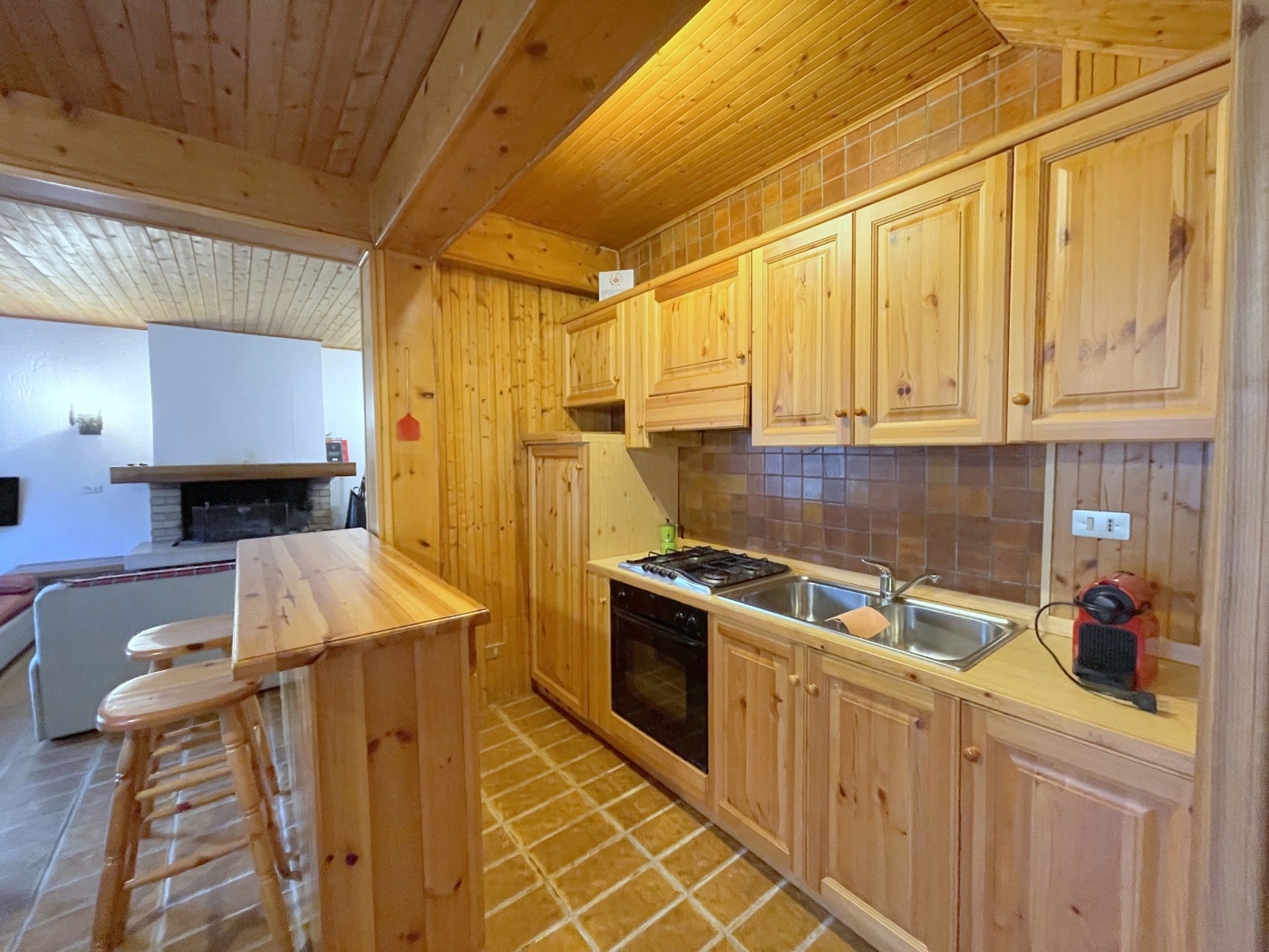 Villa Bifamiliare arredata in affitto a Asiago