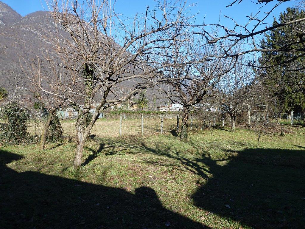 Terreno Edificabile in vendita a Domodossola